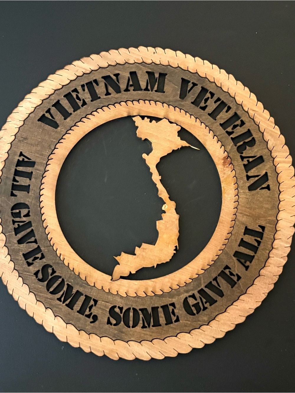 Vietnam Veteran Wooden Wall Art - Natural Brown